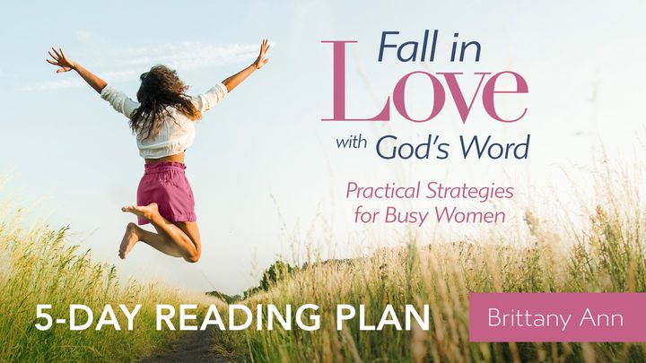 how-to-read-the-bible-daily-with-bible-reading-plans