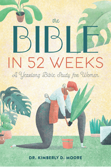 The Bible in 52 Weeks Book