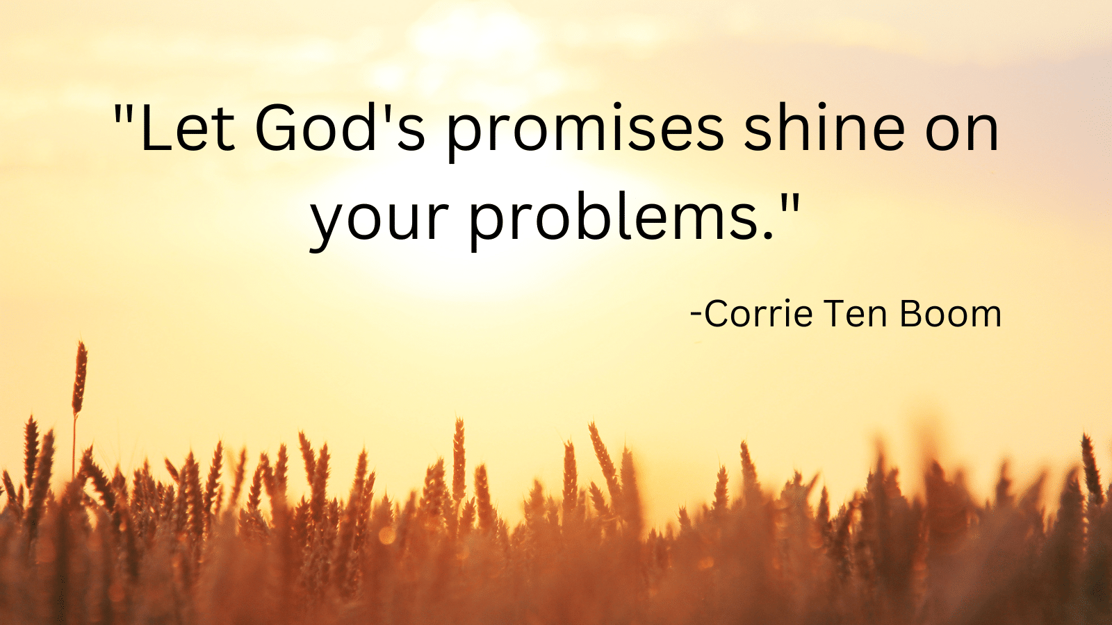 Wheat field at sunset with Corrie Ten Boom quote
