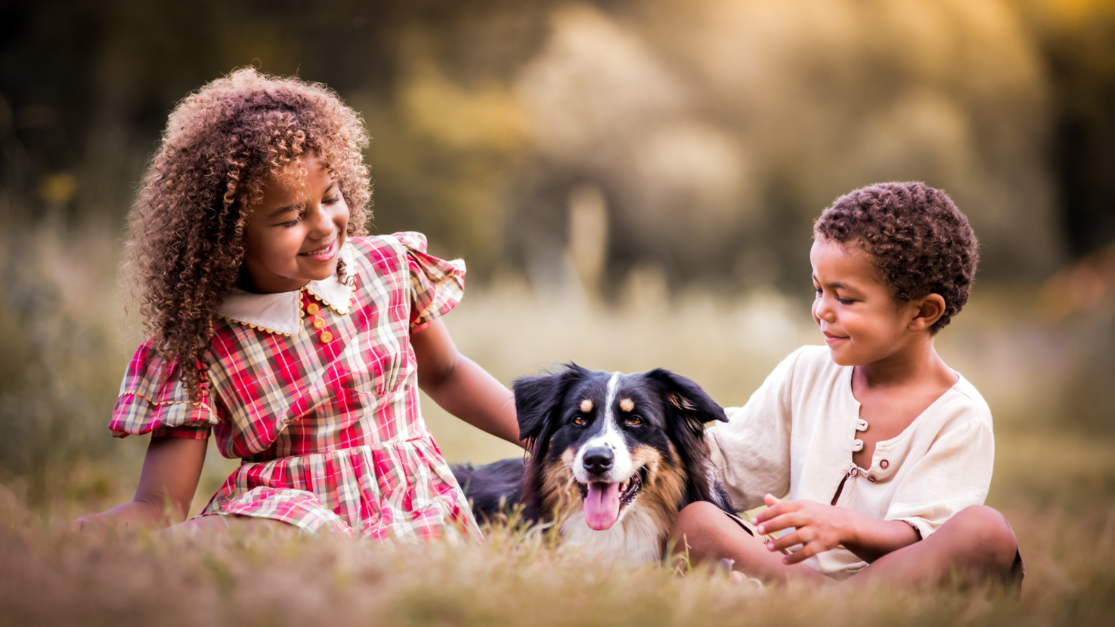 An African American little girl with curly hair, and an African American little boy sitting in the grass with a dog that is black, brown, and white
