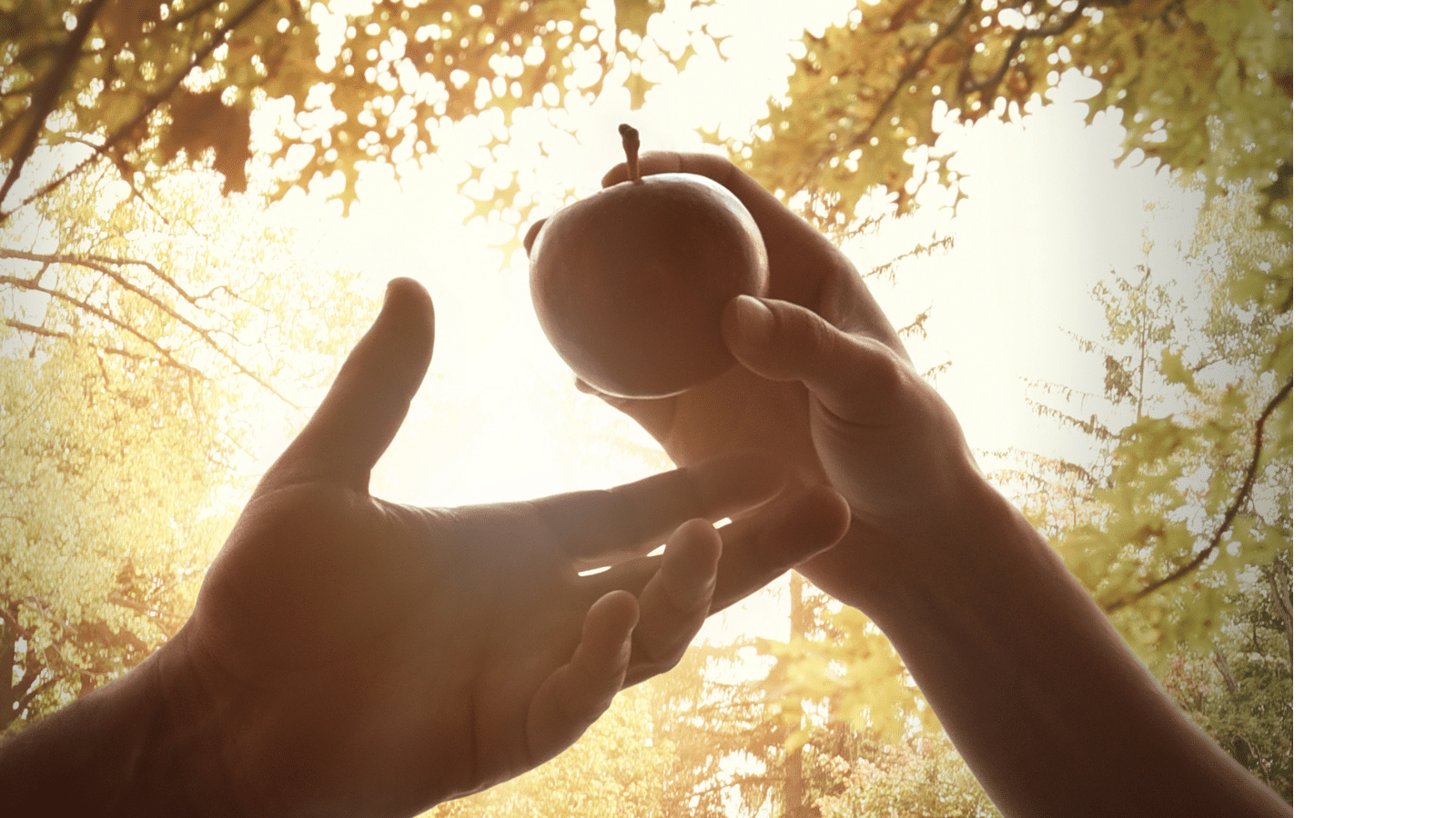 A womans hand passing an apple to a man's hand in a garden.