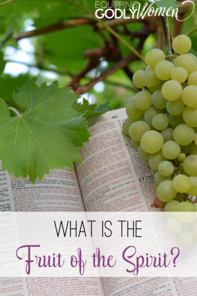 What is the Fruit of the Spirit? grapes and Bible