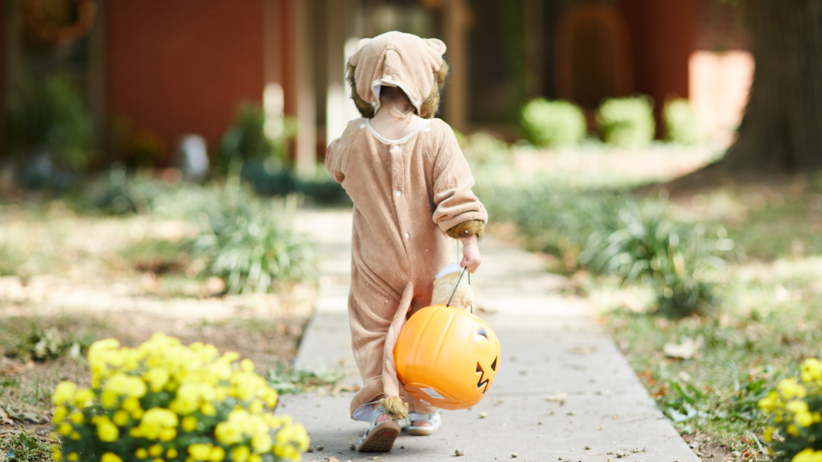 child trick or treating in bear costume