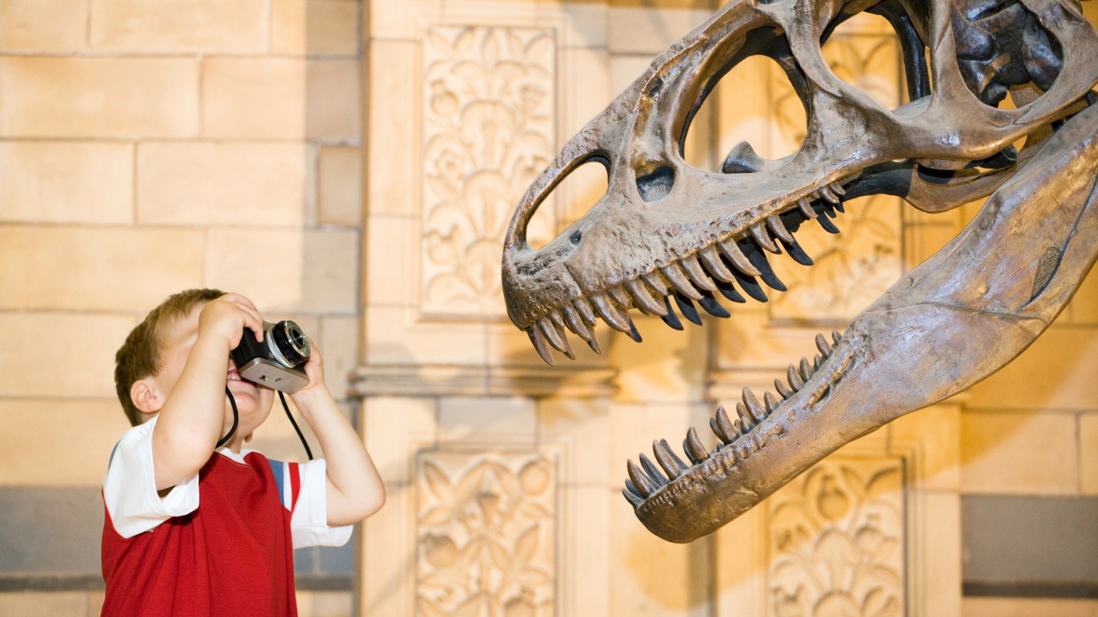 child taking a picture of a dinosaur