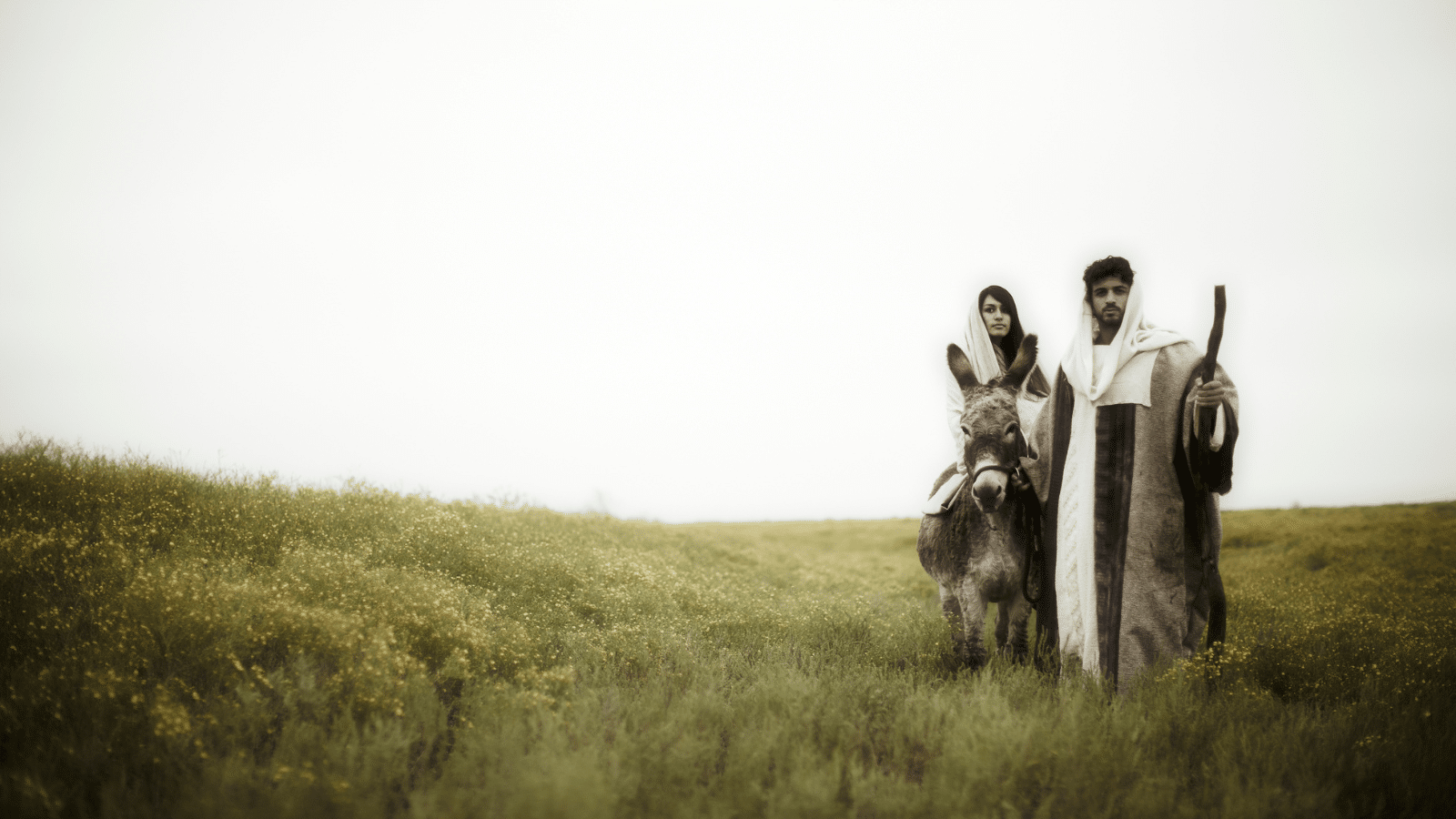 Mary, Joseph and a donkey standing in a field in Bethlehem.