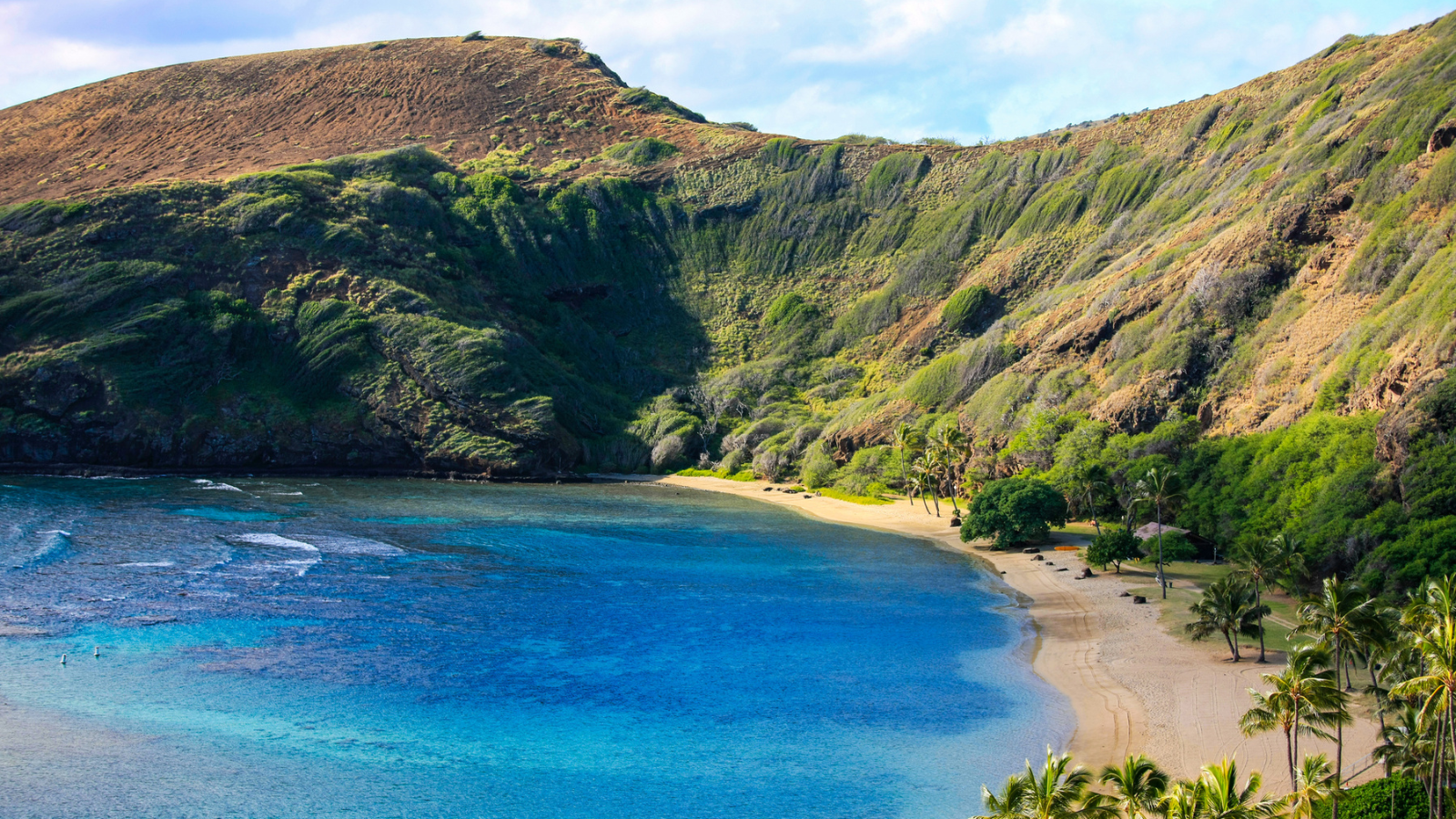 A beach in Polynesia, similar to the movie Moana.