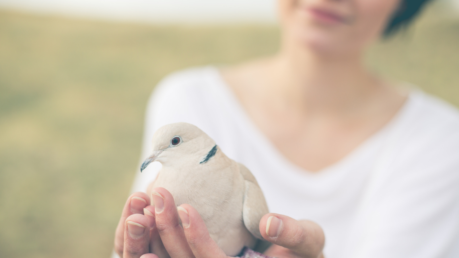 A woman holding a dove.