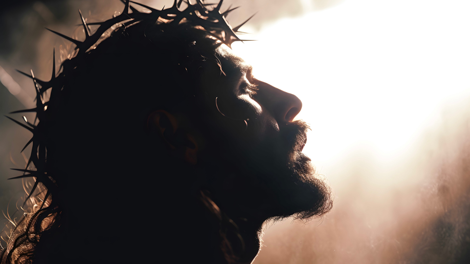 Jesus wearing a crown of thorns.