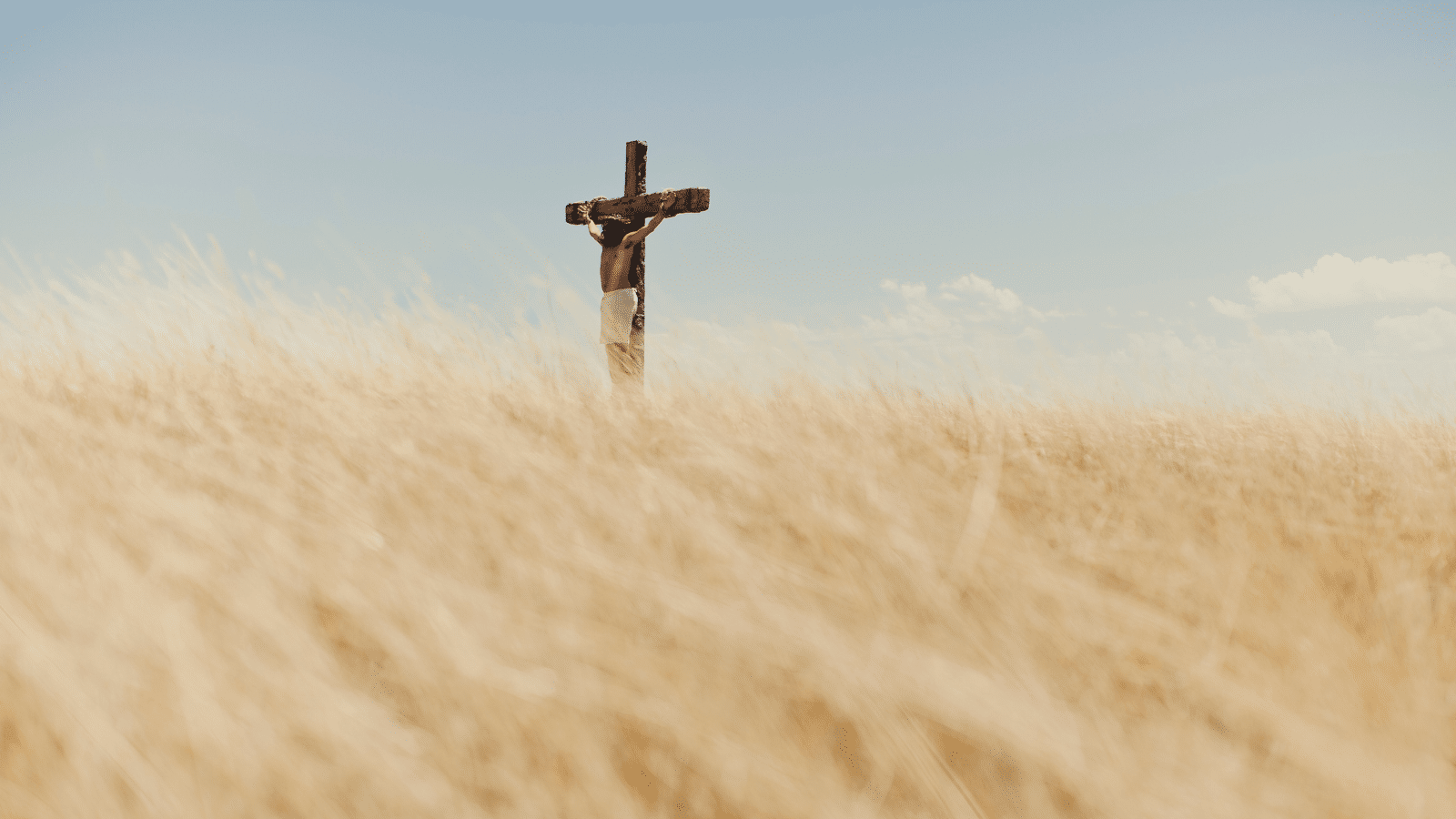 A man depicting Jesus on the cross in a field.