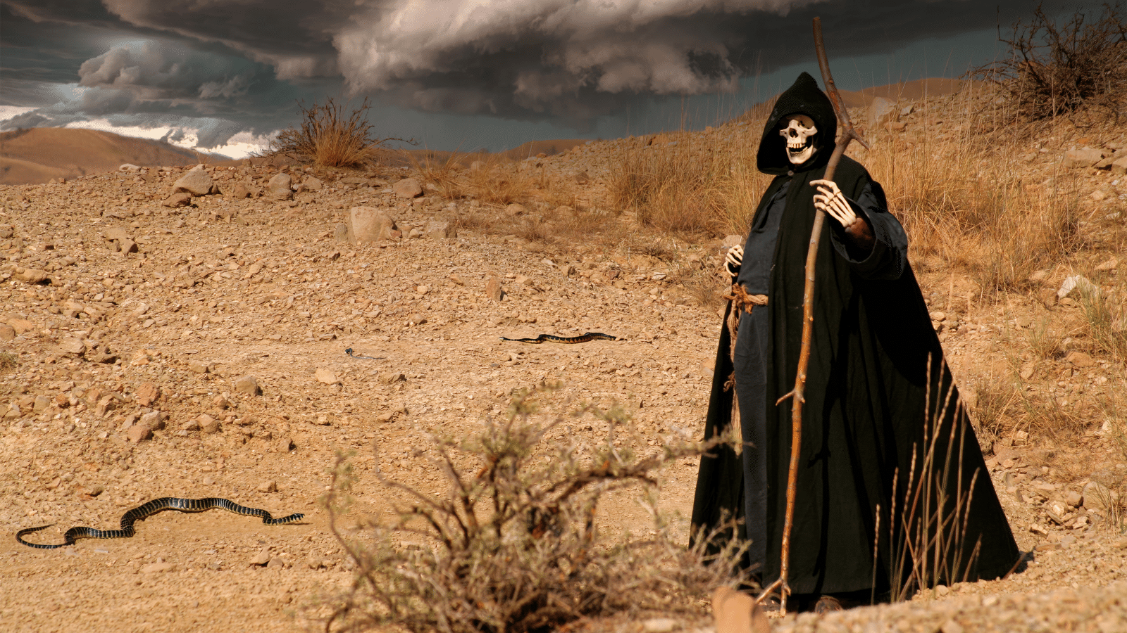 The grim reaper standing in a field.