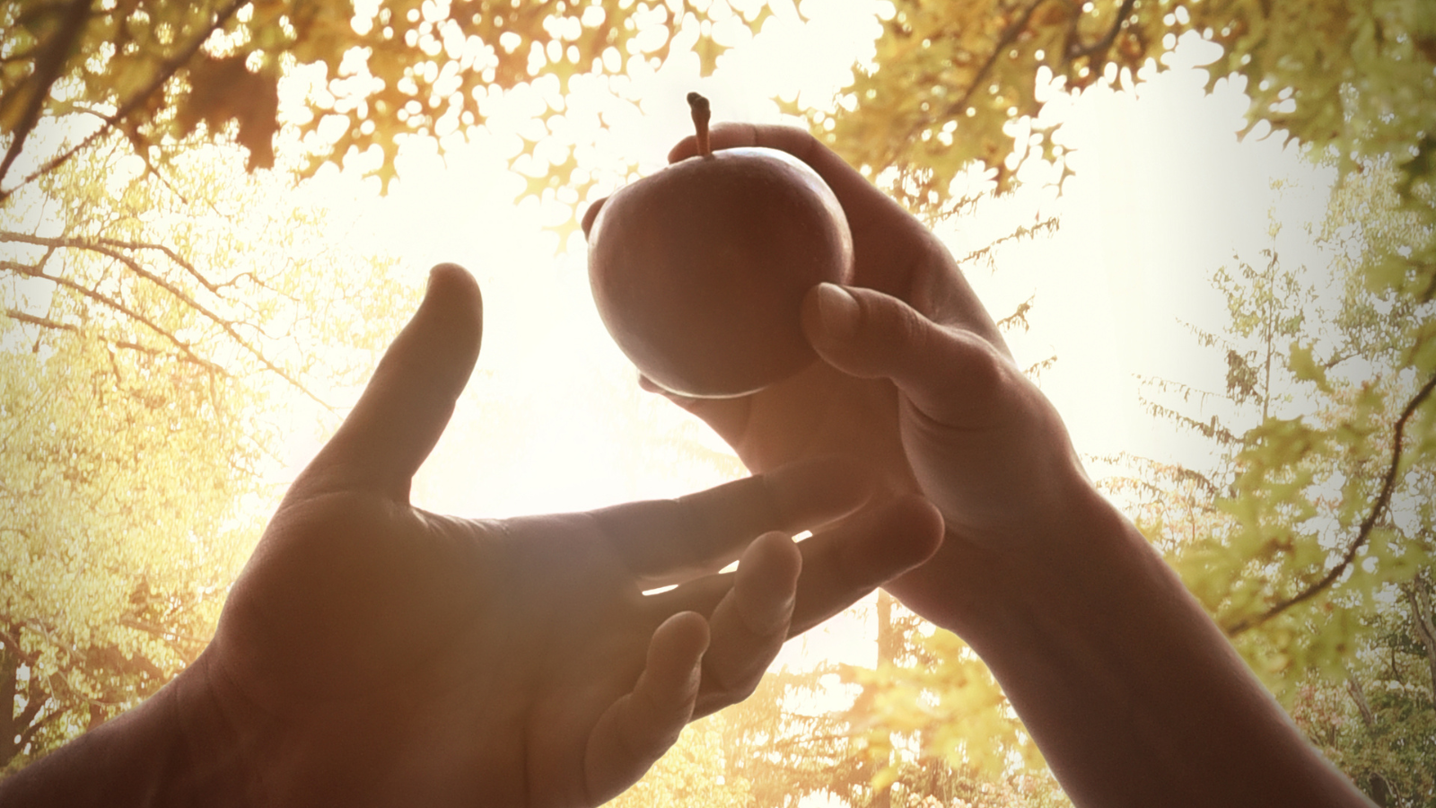 Woman holding an apple out to a man