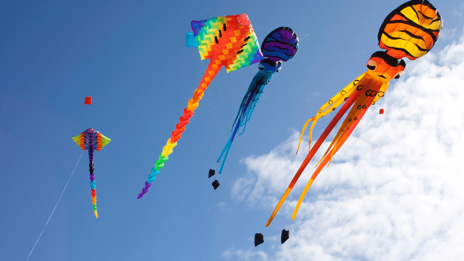 flying kites on blue sky