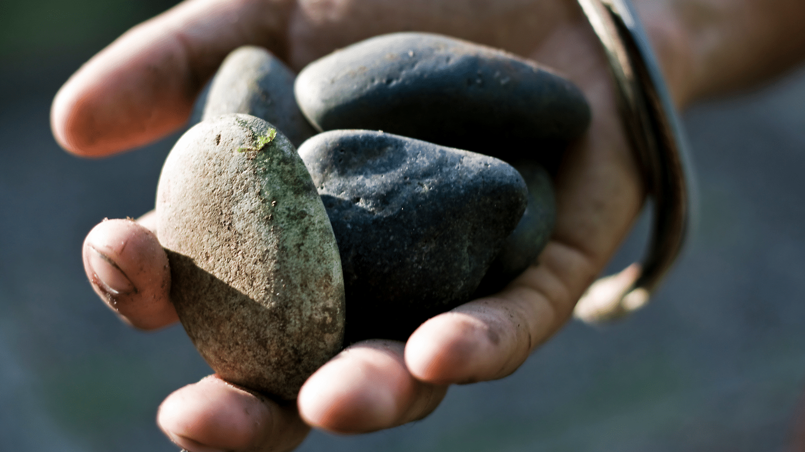hand holding stones