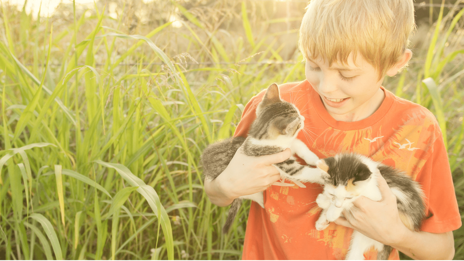 Boy holding kittens