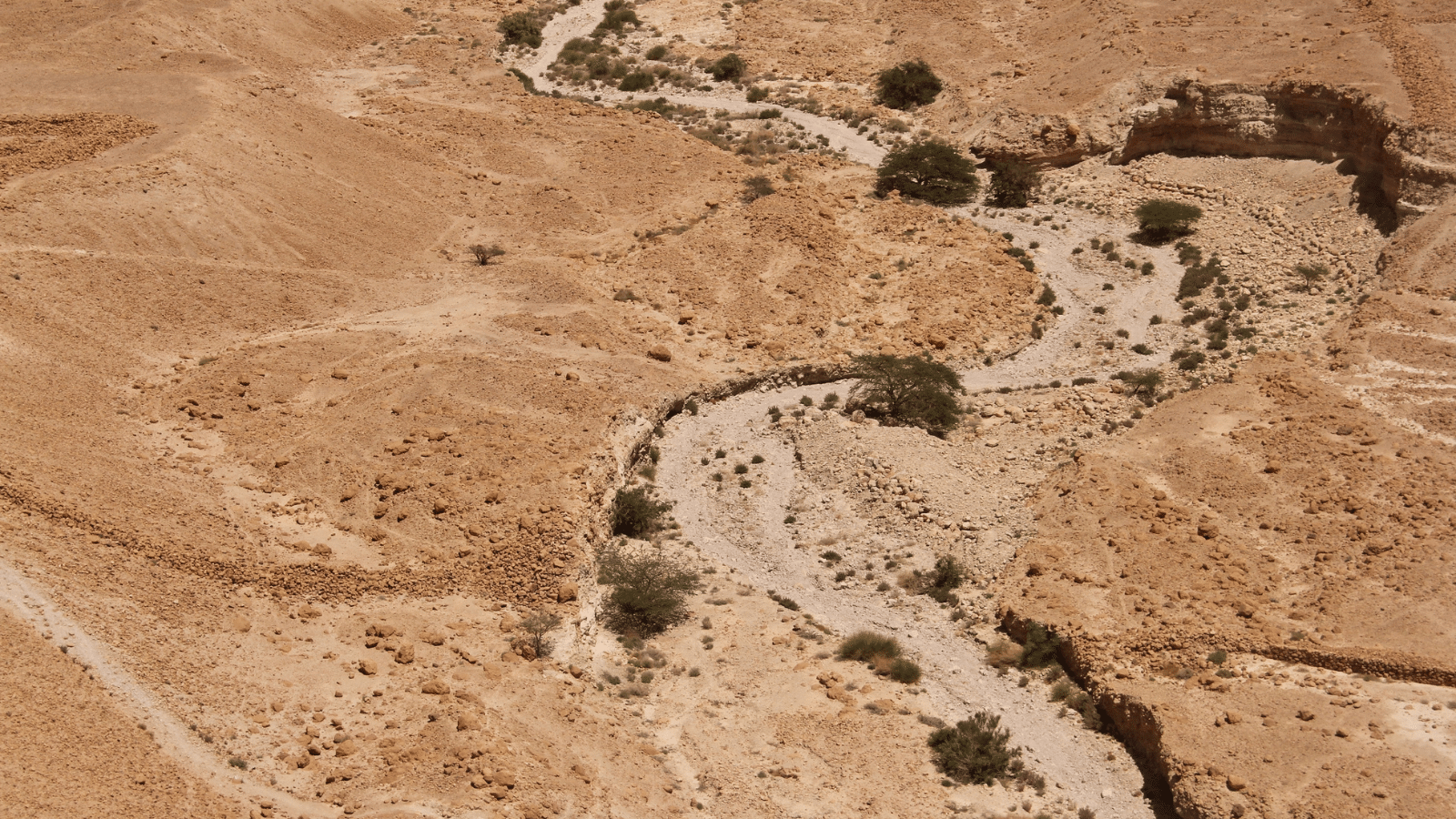 Dry river bed in desert land