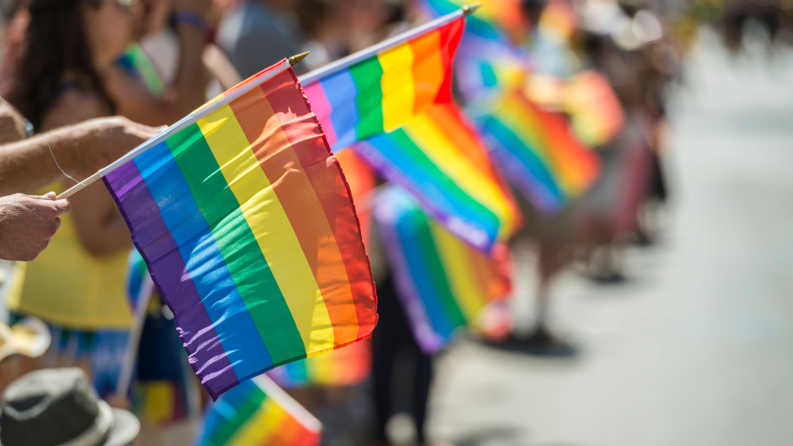pride flags at parade