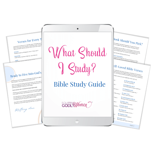 What Should I Study Bible Study Guide